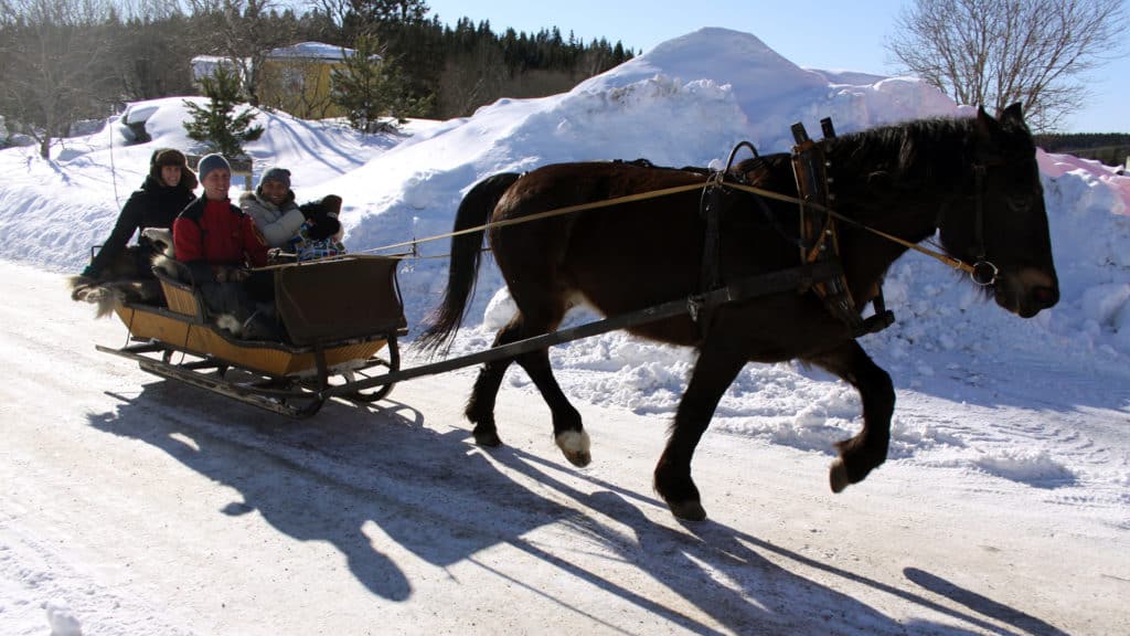 En häst drar en släde dör det sitter flera människor.
