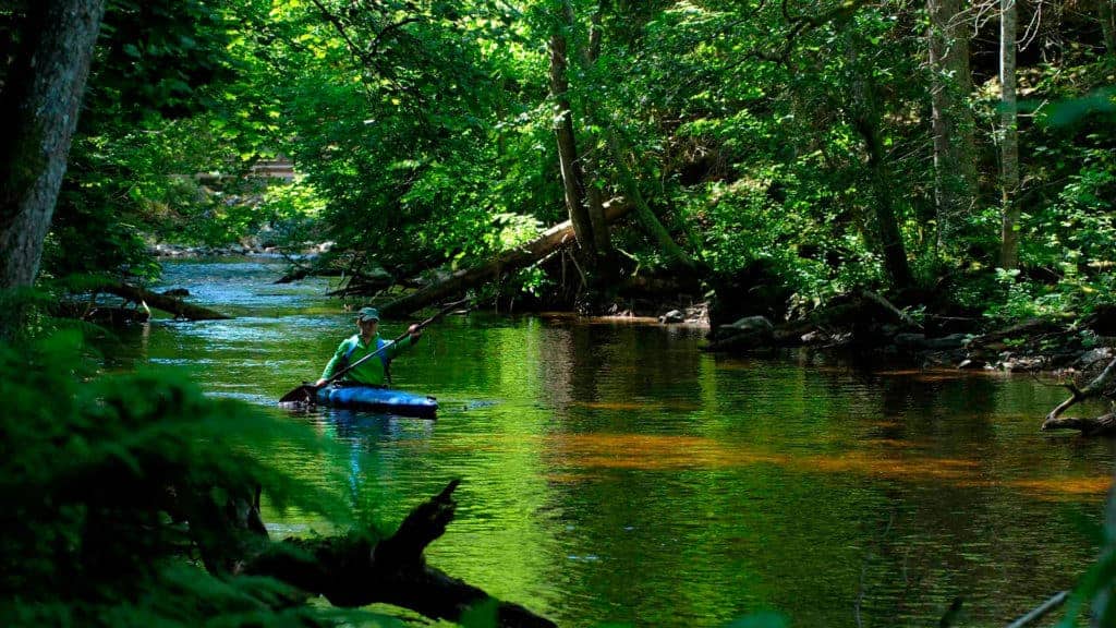 A person paddles kayak.